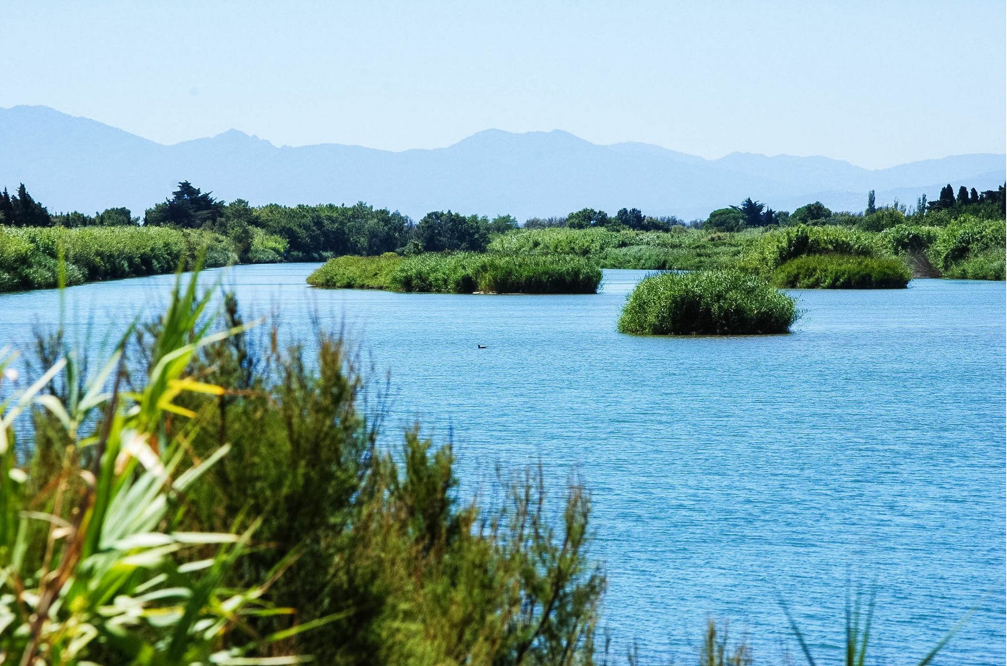 Ibis Styles Perpignan Canet En Roussillon Bagian luar foto
